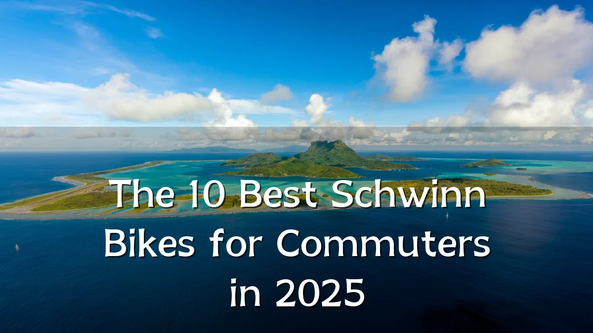 The 10 Best Schwinn Bikes for Commuters in 2025
