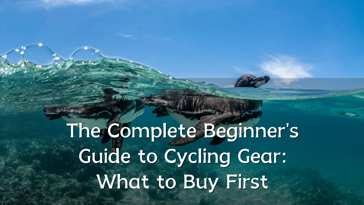The Complete Beginner's Guide to Cycling Gear: What to Buy First