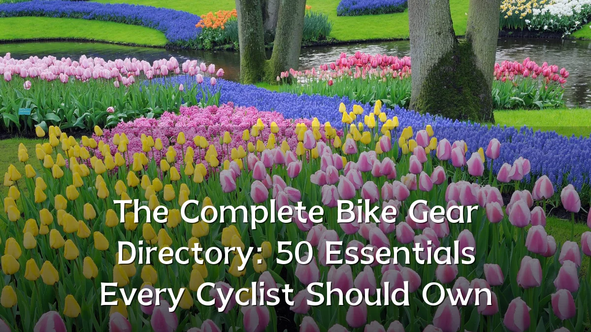 The Complete Bike Gear Directory: 50 Essentials Every Cyclist Should Own