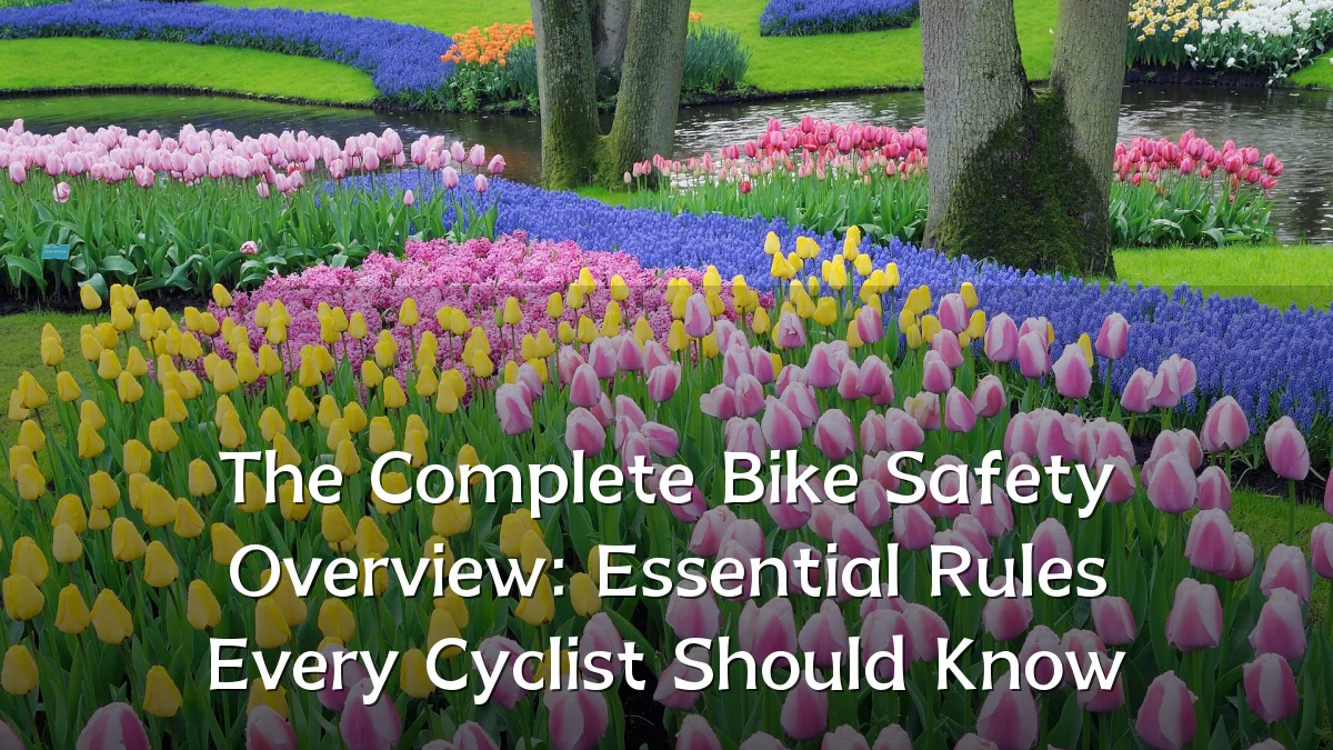 The Complete Bike Safety Overview: Essential Rules Every Cyclist Should Know