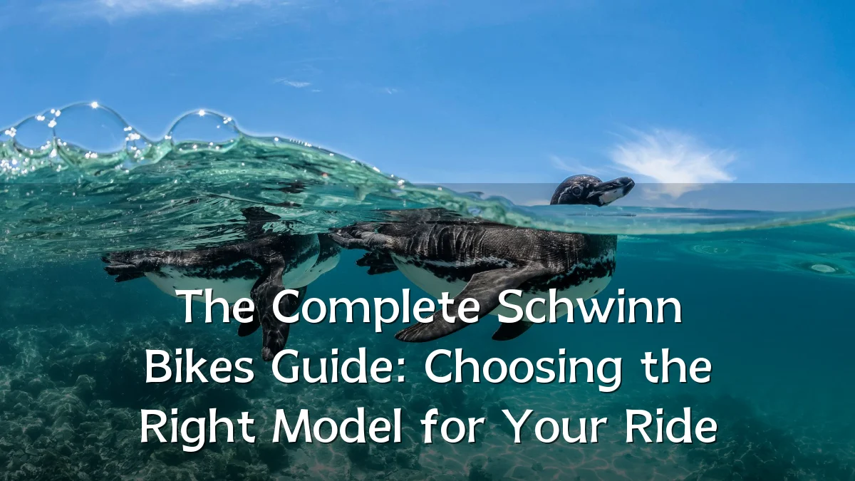 The Complete Schwinn Bikes Guide: Choosing the Right Model for Your Ride