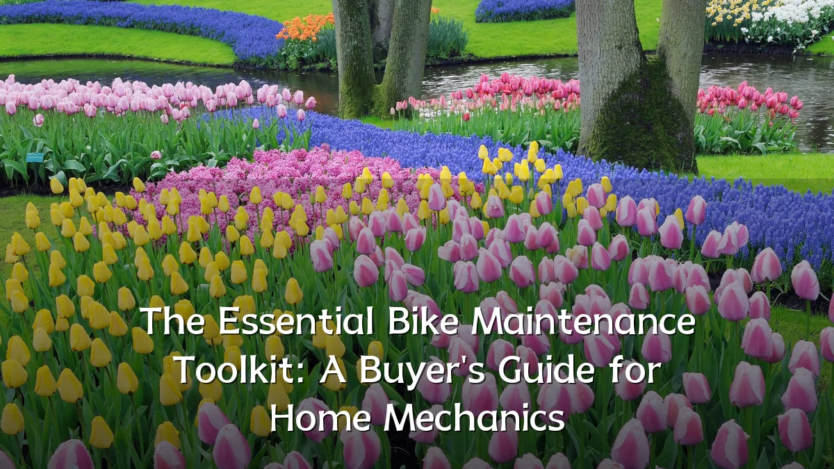 The Essential Bike Maintenance Toolkit: A Buyer's Guide for Home Mechanics