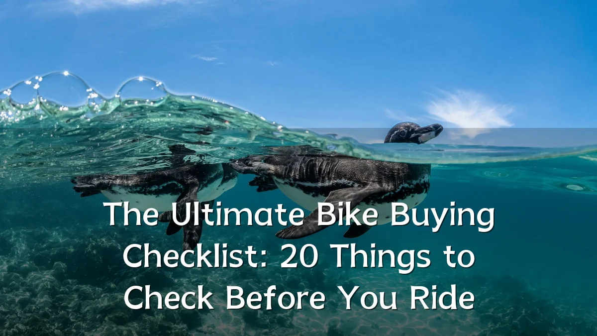 The Ultimate Bike Buying Checklist: 20 Things to Check Before You Ride