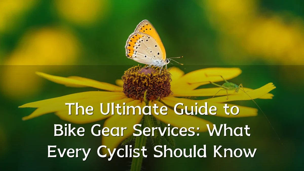 The Ultimate Guide to Bike Gear Services: What Every Cyclist Should Know