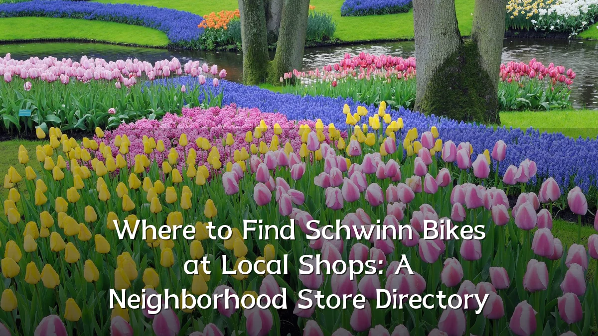 Where to Find Schwinn Bikes at Local Shops: A Neighborhood Store Directory