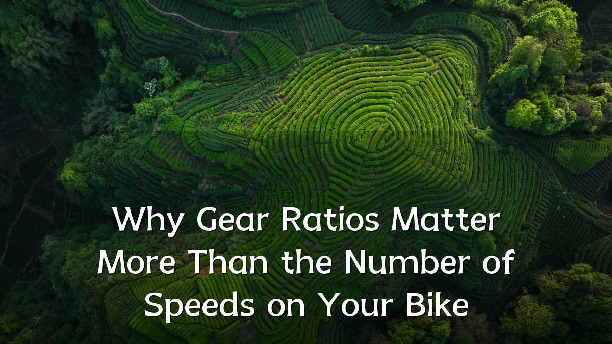 Why Gear Ratios Matter More Than the Number of Speeds on Your Bike