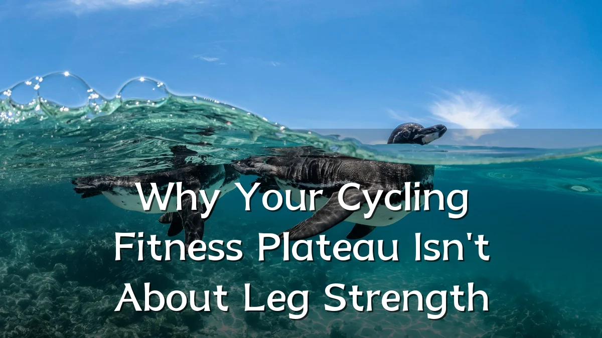 Why Your Cycling Fitness Plateau Isn't About Leg Strength